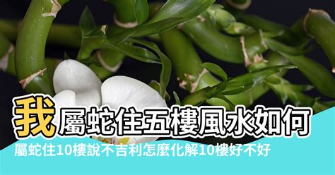 屬蛇樓層|属蛇最佳住房楼层和风水方位